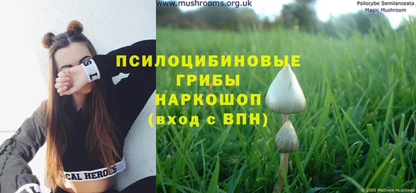 хмурый Семилуки